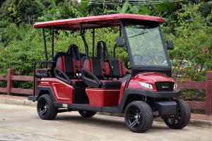 Bintelli Beyond 6PR Street Legal Golf Cart - Aluminum Frame