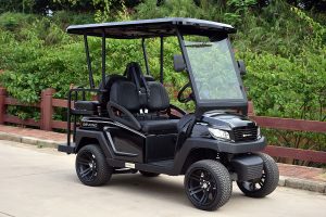 Bintelli Beyond 4PR Street Legal Golf Cart - Aluminum Frame