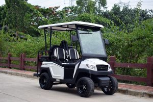 Bintelli Beyond 4PR Street Legal Golf Cart - Aluminum Frame